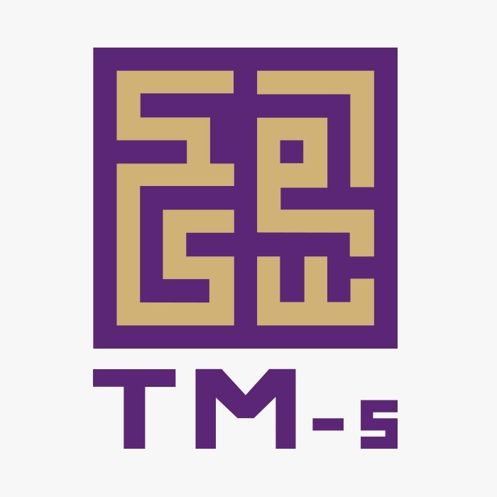 Logo TechMedic Solutions